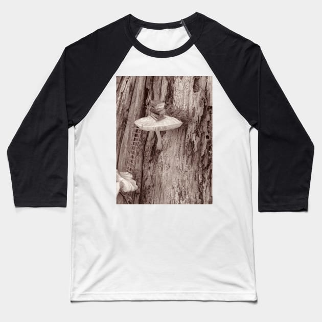 Franks Spot Baseball T-Shirt by Meadow Trip 